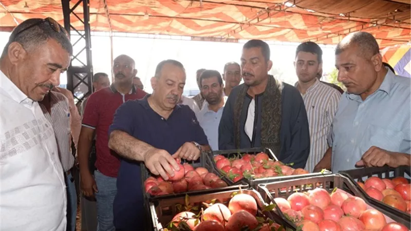 محافظ أسيوط يتفقد مواقع تجهيز وتصدير 