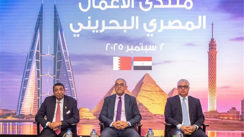 جمال الدين: جذب 311 مشروعًا باستثمارات 10.2 مليارات دولار في 38 شهرًا