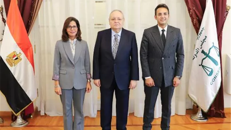 رئيس مجلس الدولة يستقبل المدير التنفيذي للأكاديمية الوطنية للتدري