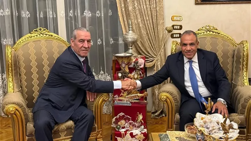الخارجية : ضرورة تكثيف الضغوط على إسرائيل لوقف الحرب فى غزة