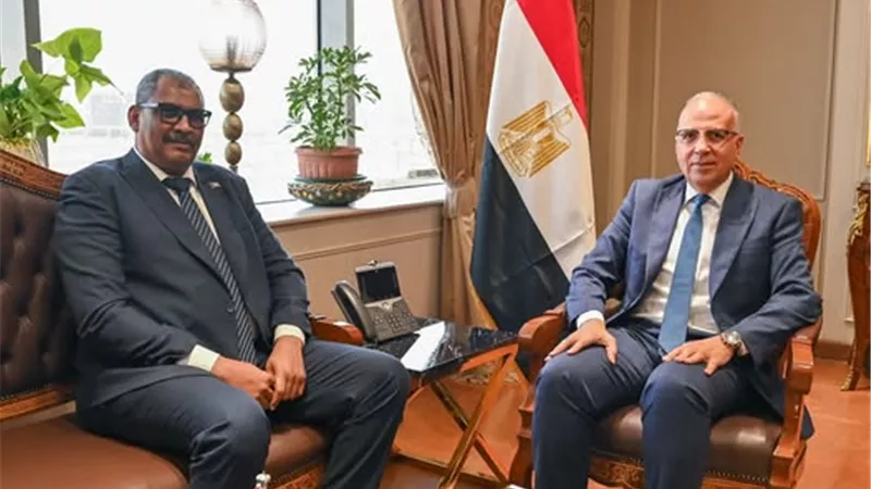 وزير الري يؤكد حرص مصر على مواصلة التعاون مع السودان في كافة المجالات
