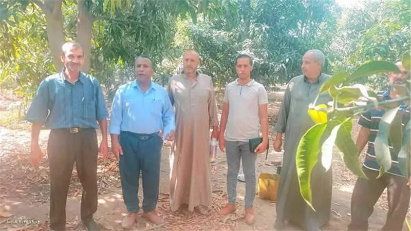 حملات توعية لمكافحة ذبابة الفاكهة بالإسماعيلية