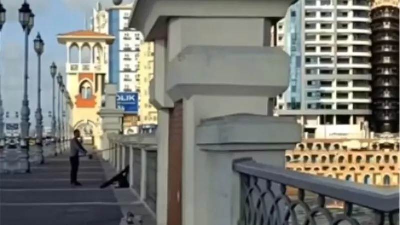 محافظ الاسكندرية يقررادراج كوبرى استانلى على خطة مشروعات التطوير