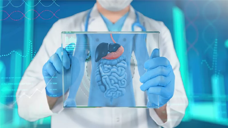 ابتكار هيدروجيل يحمي المعدة والأمعاء من الميكروبات الضارة
