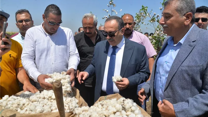محافظ أسيوط يفتتح موسم جني القطن لعام 2025