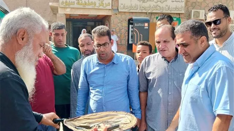 دعم واحة سيوة لمليون ذريعة سمكية