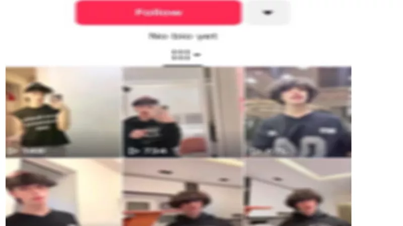ضبط صانعى محتوى لتصويرها فيديوهات خادشة للحياء ومنافية للآداب ا