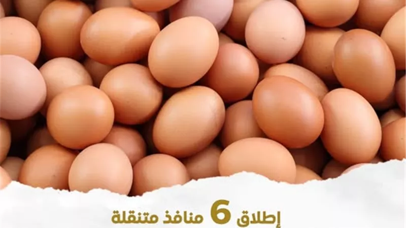 لتخفيف الأعباء.. منافذ متنقلة تطرح بيض المائدة بأسعار تنافسية