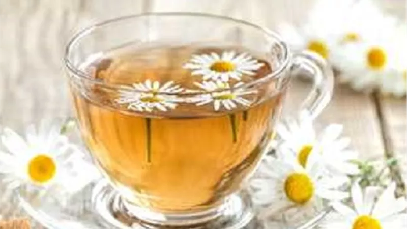 البابونج .. زهرة الشمس المقدسة التي تهدئ الأعصاب وتدعم الصحة العامة