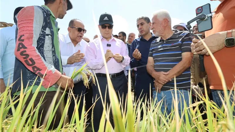 محافظ كفرالشيخ يشهد انطلاق موسم حصاد الأرز بقرية إبشان ببيلا