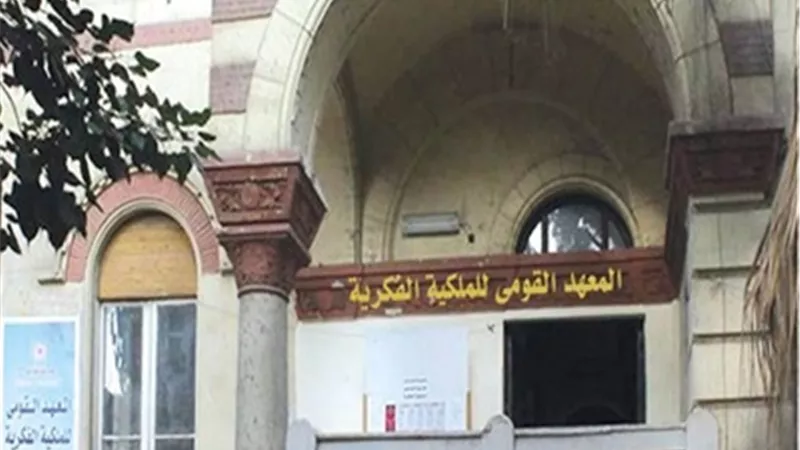 جامعة حلوان: فتح باب التقديم لبرنامج «محكم في الملكية الفكرية» للأجانب