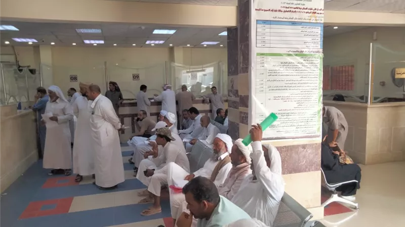 بدء تسليم تصاريح موسم صيد الطيور المهاجرة 2025 بمرسي مطروح