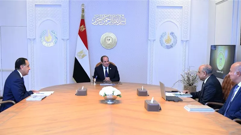 الرئيس السيسي يوجه بترسيخ دور مصر كمركز إقليمي للطاقة في شرق المتوسط