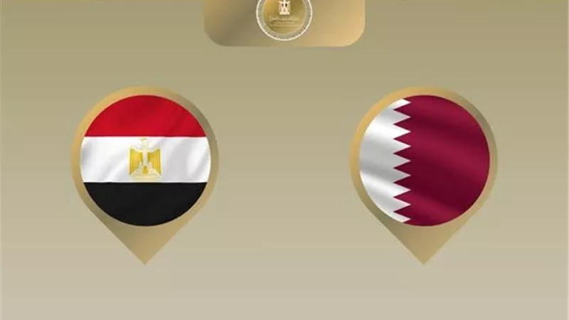 وزير الخارجية يتوجه إلى الدوحة للإعراب عن تضامن مصر الكامل مع دولة قطر