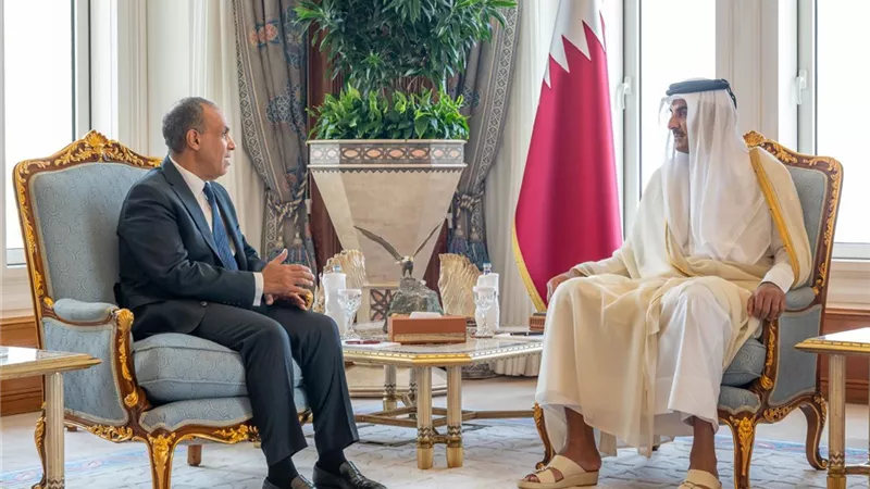 وزير الخارجية ينقل رسالة تضامن من الرئيس السيسي الي امير دولة قطر