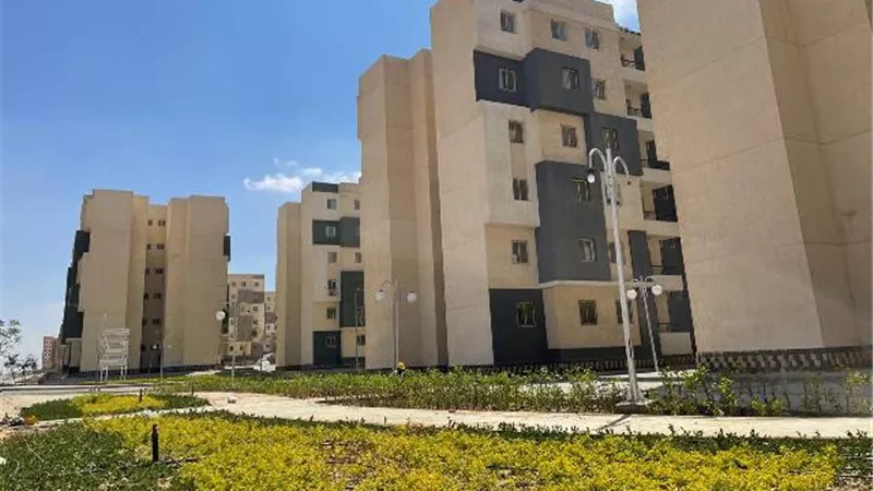 خطوة هامة من جهاز بدر فى مشروعات الزراعة ونباتات لأول مرة بالمدينة صور