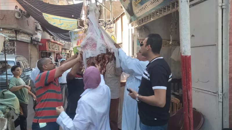 ضبط لحوم مخالفة خلال حملات تفتيشية بالمنيا