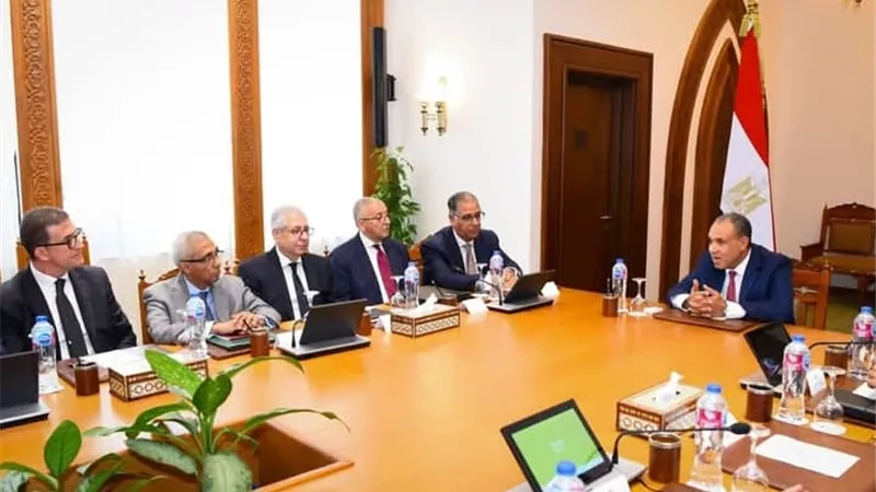 وزير الخارجية يطالب بتعزيز قنوات التواصل مع الجاليات المصرية بالخارج