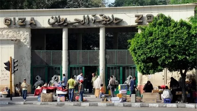 الزراعة: لا صحة لأسعار التذاكر المتداولة لحديقة الحيوان.. ننفذ نفق يربطها بالأورمان