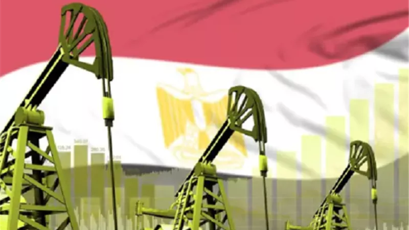 استقبال 74 مليون برميل عبر ميناء الحمراء خلال عام 2024/2025
