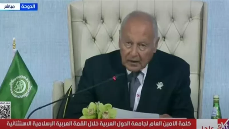أبو الغيط: الهجوم على الوسطاء يعكس خسة وجبناً من قبل دولة الاحتلال الإسرائيلي