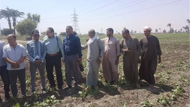 تنفيذ ندوات إرشادية للمحاصيل الصيفية بالمراكز بالمنيا