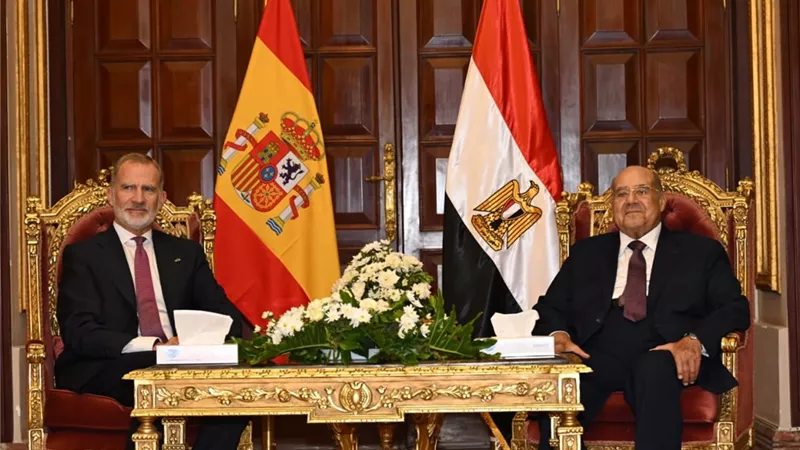 رئيس مجلس الشيوخ يستقبل الملك فيليب السادس ملك إسبانيا