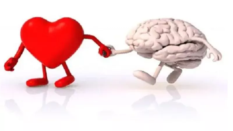 أبحاث حديثة تؤكد دقة التعبير القرآني حول تواصل القلب مع العقل