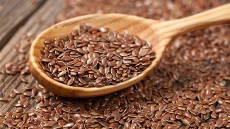 حب الرشاد.. كنز غذائي وطبي تؤكده الدراسات العلمية