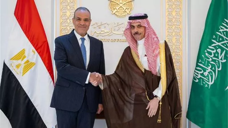 وزير الخارجية: نسعى لتعزيز التعاون المصري-السعودي لمواجهة التحديات الإقليمية