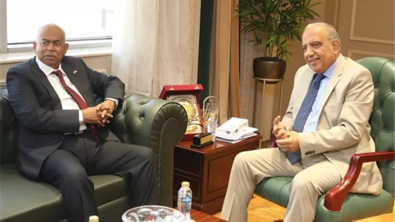 عصمت:الربط مع السودان جسر عبور طاقة إفريقيا الى أوروبا