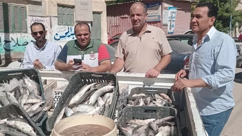 حملات تمويتة لضبط الأسواق بكفرالشيخ