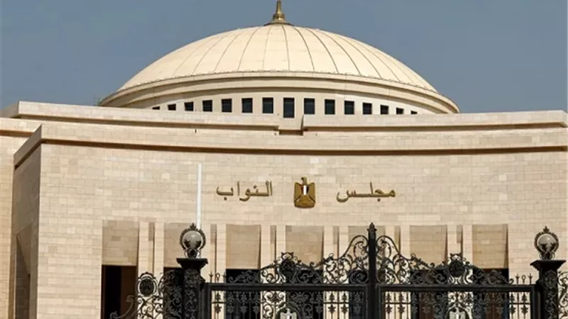 النواب يطالبون من الحكومة حوافز تشجيعية للمصريين بالخارج