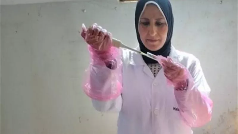 تحصين 3132 رأس ماشية ضد البروسيلا والسل البقرى بالشرقية
