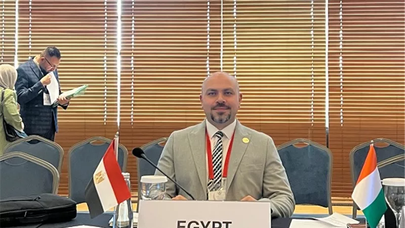 التضامن تمثل مصر فى الاجتماع الـ 25 لمجموعة عمل 