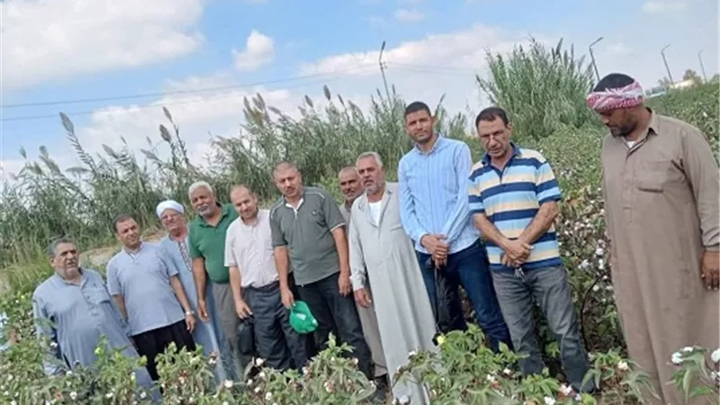 ندوة إرشادية للنهوض بمحصول القطن بالشرقية
