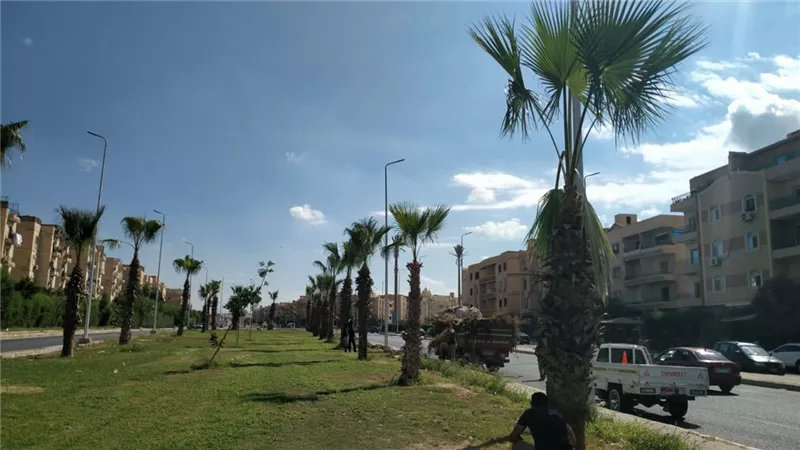 مروة حسين: خطة للحفاظ على المظهر الحضاري بمدينة الشيخ زايد .. صور