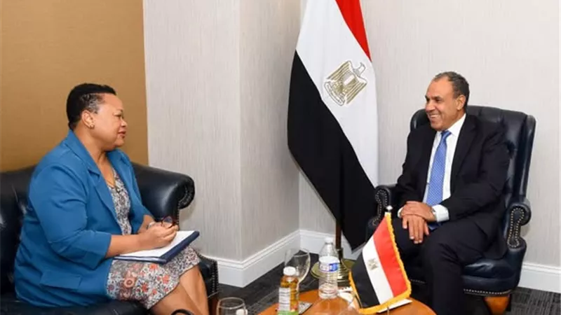وزير الخارجية يشيد بالجهود الملموسة للآلية الإفريقية لمراجعة النظراء