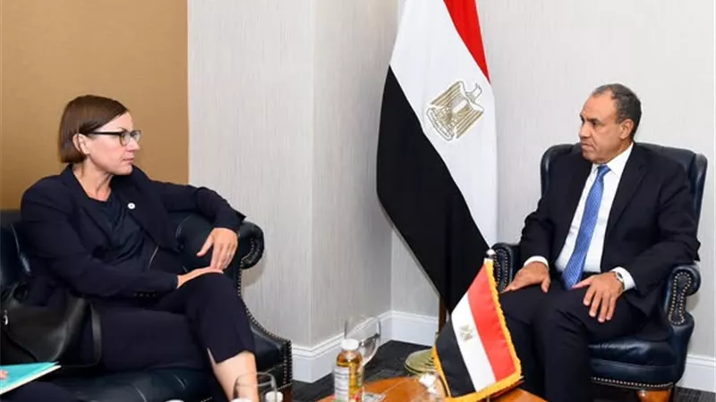 وزير الخارجية يستعرض جهود مصر لوقف الحرب على غزة