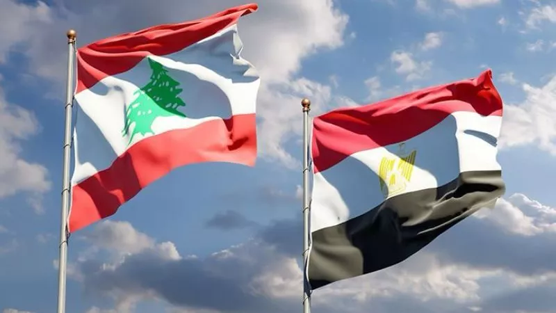 التمثيل التجاري ينظم ويبينار مع سلسلة كارفور بالتنسيق مع التصديري