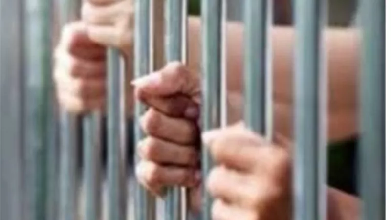 المشدد 10 سنوات لـ3 أشقاء بالقليوبية لإصابتهم شخصاً بعاهة