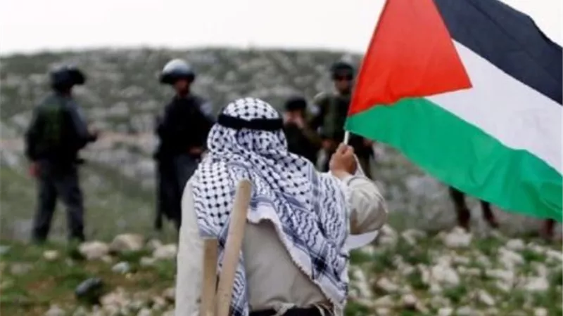أكثر من 50 بلدية فرنسية ترفع العلم الفلسطيني تزامنًا مع استعداد باريس الاعتراف بفلسطين
