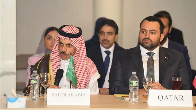 وزير الخارجية السعودي: موقف فرنسا التاريخي يعكس إرادة المجتمع الدولي لإنصاف فلسطين
