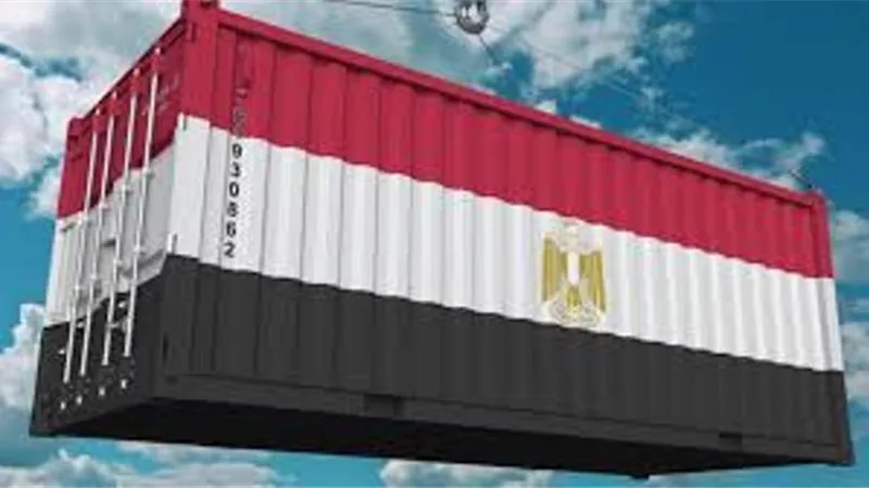 الإحصاء: ارتفاع صادرات مصر إلى 45 مليار دولار بنهاية 2024 بزيادة 6.5%