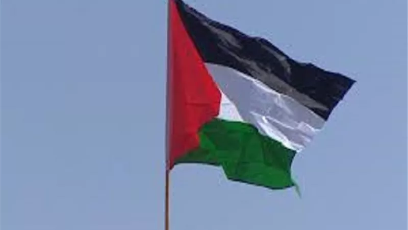 منظمة القانون من أجل فلسطين: الاعتراف بالدولة الفلسطينية أمر تاريخي
