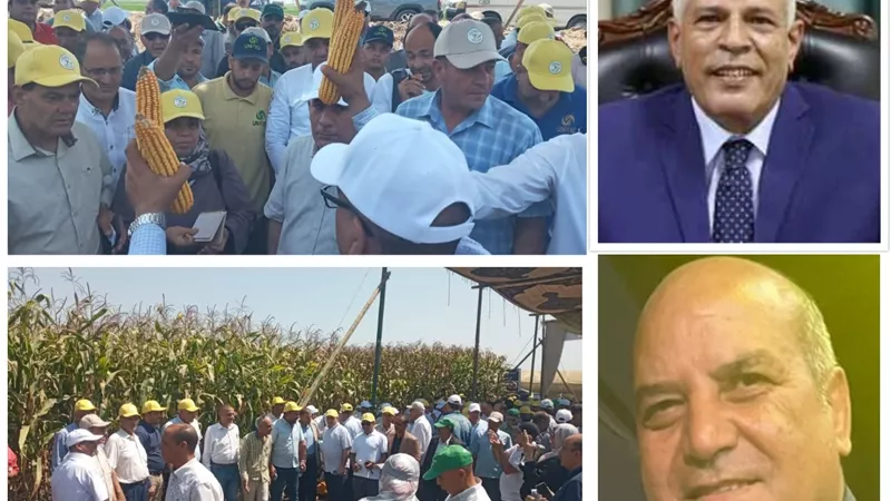 الذرة الصفراء بين الاستيراد .. والاكتفاء الذاتي