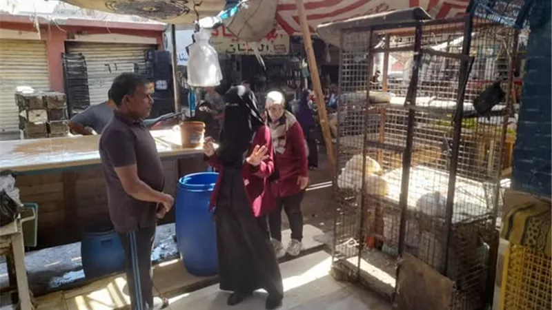 حملات توعية بيئية في سوق الجمعة بالإسماعيلية..صور