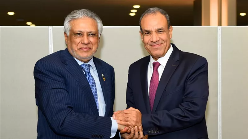 وزير الخارجية يعقد مباحثات مع نظيره الباكستاني