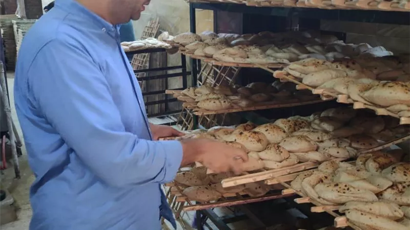 ضبط 256 مخالفة خلال حملات موسعة على المخابز والأسواق بالمنيا