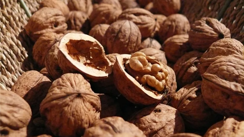 الجوز هو السلاح ضد أمراض التقدم في العمر